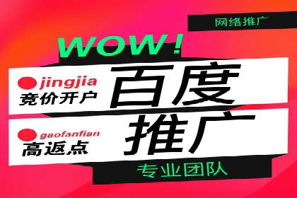 深入解析SEM竞价托管的成功案例